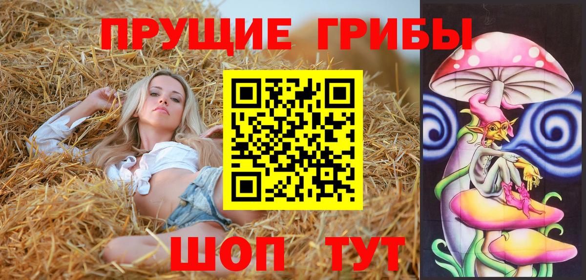Галлюциногенные грибы прущие грибы Кимры