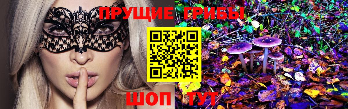 цена   Псилоцибиновые грибы мицелий  Вход с VPN  Кимры 